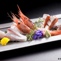 撮影 料理写真家 根岸亮輔